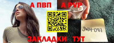 гидра Гай