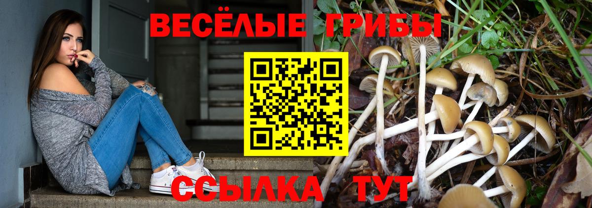 Псилоцибиновые грибы Psilocybine cubensis  Вход с VPN  магазин    Камышин  Галлюциногенные грибы Psilocybine cubensis 