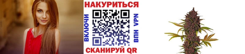 Бошки марихуана сатива Камышин
