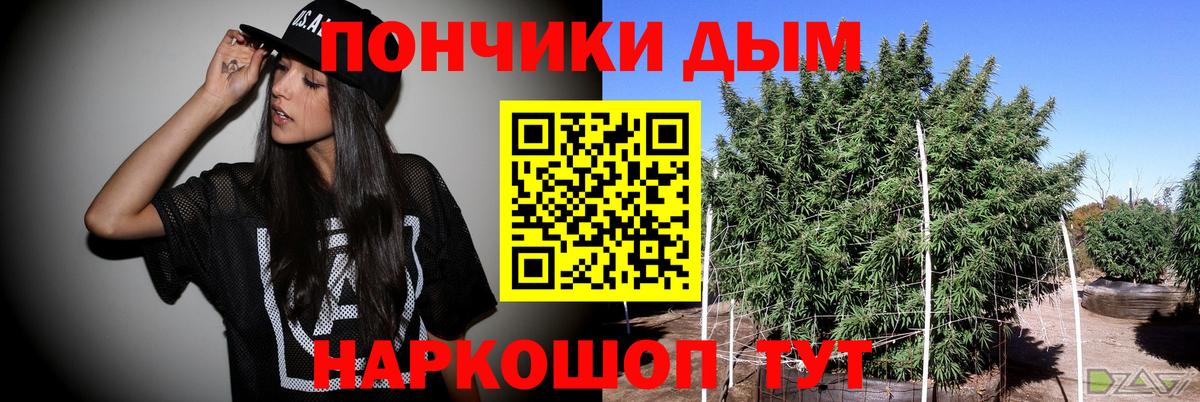 Шишки марихуана планчик  Бошки Шишки ГИДРОПОН  Марихуана THC 21%  Камышин  Вход с VPN  Каннабис White Widow 
